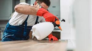 Best Real Estate Pest Inspections  in Snyderville, UT